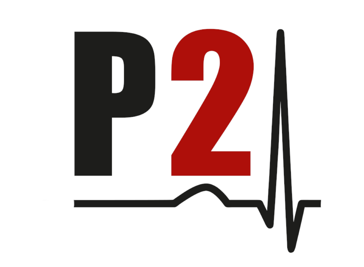 PULS 2.0 logo